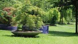 Donica betonowa szara w ogrodzie