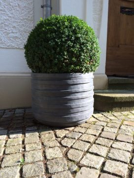 Donica betonowa z ultra betonu Hydra przed wejściem do domu