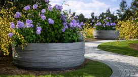 Donice-betonowe-hydra-medio-grande-w-ogrodzie