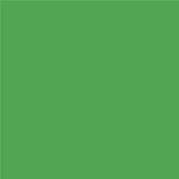 RAL 6018